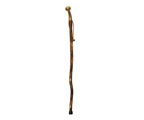 Brass Top Cane