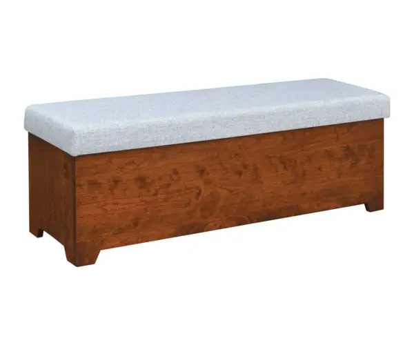 Youth Contemporary Bed Bench