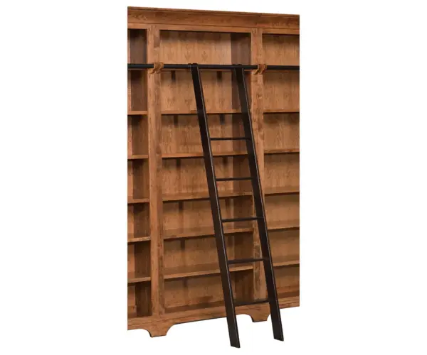 Finley Library Ladder